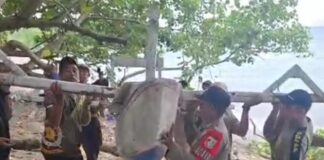 Ratusan Perahu di Pantai Senggigi Ditertibkan Ratusan Perahu di Pantai Senggigi Ditertibkan