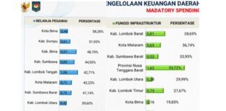 Belanja Pegawai Pemprov dan 10 Kabupaten/Kota di NTB Berada di Atas Ambang Batas