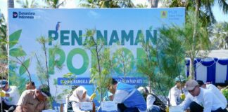 Peringati Hari Keanekaragaman Hayati, PLN EPI Tanam 2.500 Cemara Udang untuk Lindungi Pesisir Lombok