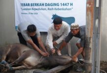 Rayakan Idul Adha 1447 H, PLN UIP Nusra Salurkan 18 Ekor Sapi dan 9 Ekor Kambing untuk Masyarakat