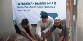 Rayakan Idul Adha 1447 H, PLN UIP Nusra Salurkan 18 Ekor Sapi dan 9 Ekor Kambing untuk Masyarakat