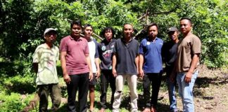 Kisah Petani Sukadana: Sukses Ubah Pekarangan Jadi Kebun Kelengkeng Beromzet Jutaan Rupiah