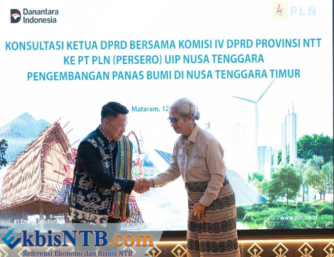 Konsultasi DPRD Provinsi NTT ke PLN UIP Nusa Tenggara, Penguatan Strategi Edukasi Publik Pengembangan Geothermal di NTT