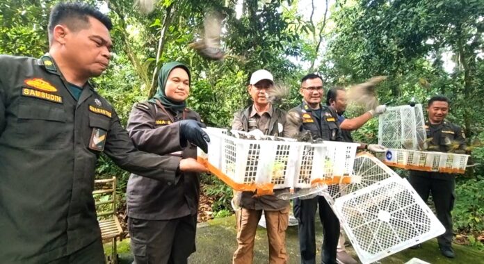 1.392 Ekor Burung Sitaan Dilepasliarkan Kembali ke TWA Suranadi