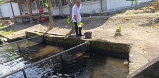 Raih Keuntungan, BUMD PD Agro Selaparang Sumbang Dividen Rp117 Juta