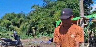 Jelang Iduladha, Permintaan Hewan Kurban Meningkat
