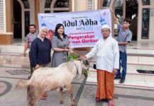 Astra Motor NTB Salurkan total 11 Ekor Kambing Kurban