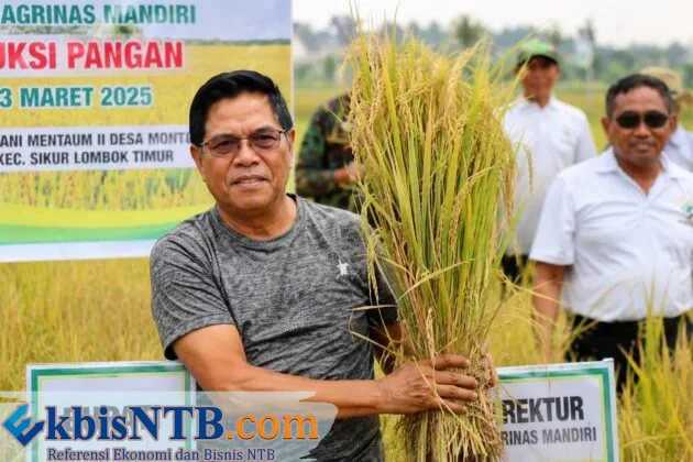 Bupati Lotim Tegaskan Jadikan Pertanian Fondasi Utama Pembangunan