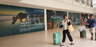 Libur Panjang Beruntun, Penumpang di Bandara Lombok Tembus 35 Ribu Orang Libur Panjang Beruntun, Penumpang di Bandara Lombok Tembus 35 Ribu Orang
