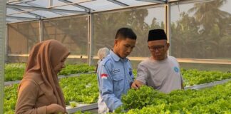 Serap Bahan Baku dari Desa, Bumdes dan SPPG Dasan Tapen Ciptakan Kemandirian Pangan Lokal Serap Bahan Baku dari Desa, Bumdes dan SPPG Dasan Tapen Ciptakan Kemandirian Pangan Lokal