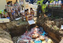 Masuk Ilegal dari Lembar, Karantina NTB Musnahkan Daging Babi Beku Hingga Komoditas Perikanan Masuk Ilegal dari Lembar, Karantina NTB Musnahkan Daging Babi Beku Hingga Komoditas Perikanan