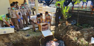 Masuk Ilegal dari Lembar, Karantina NTB Musnahkan Daging Babi Beku Hingga Komoditas Perikanan Masuk Ilegal dari Lembar, Karantina NTB Musnahkan Daging Babi Beku Hingga Komoditas Perikanan