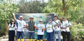 Peringati Hari Mangrove Sedunia dan HUT ke-62, Bank NTB Syariah Tanam Mangrove di Kawasan Ekowisata Paremas Peringati Hari Mangrove Sedunia dan HUT ke-62, Bank NTB Syariah Tanam Mangrove di Kawasan Ekowisata Paremas