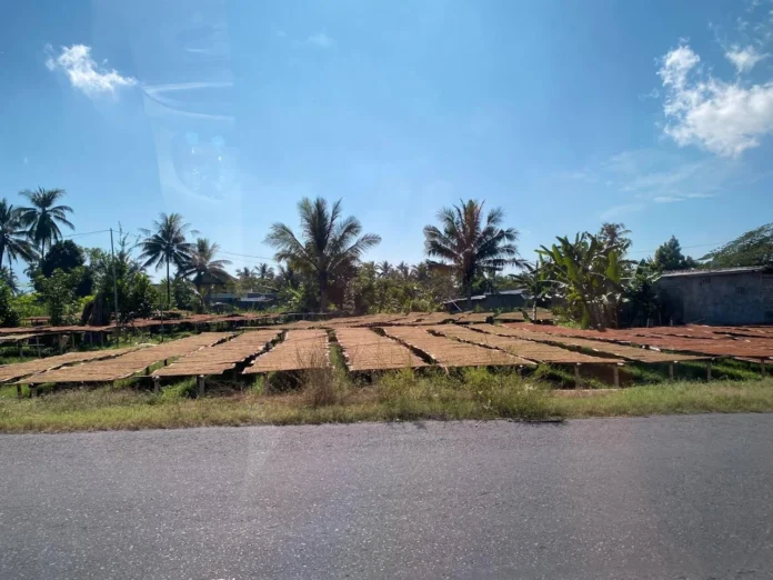 Lotim Tak Ingin Sekadar Jadi Pemasok Bahan Baku Rokok, Siap Terima Investor Pabrik GLT Rusliadi By Rusliadi 03/07/2026 Lotim Tak Ingin Sekadar Jadi Pemasok Bahan Baku Rokok, Siap Terima Investor Pabrik GLT