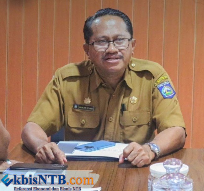 Mangrove NTB Simpan Potensi 9,7 Juta Ton Karbon Bernilai Ekonomi