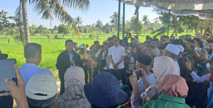 Lahan PM-AAS, Kementan Siapkan Bantuan Benih Satu Juta Hektare