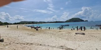 Direncanakan Jadi Kawasan Premium, Puluhan Investor Lirik Kawasan Timur The Mandalika Direncanakan Jadi Kawasan Premium, Puluhan Investor Lirik Kawasan Timur The Mandalika