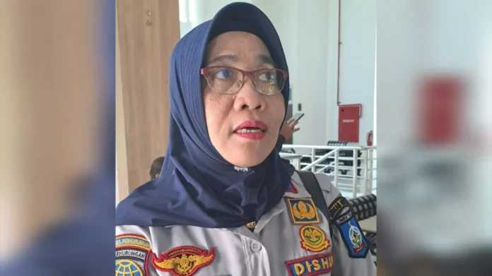 terang Baiq Damayanti. Terkendala Anggaran Pemeliharaan, Ratusan PJU Jalur Bypass BIL-Mandalika Mati