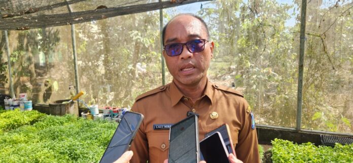 Pemprov NTB Yakin Musim Tembakau 2026 Menguntungkan Petani