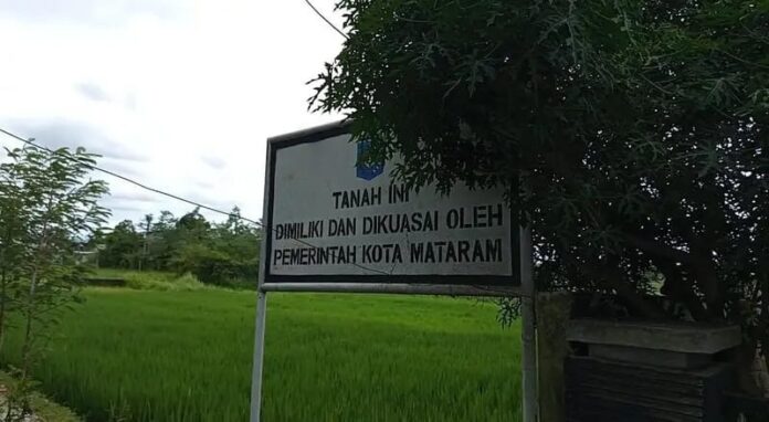 Pusat Tetapkan KP2B di NTB Minimal 87 Persen Pusat Tetapkan KP2B di NTB Minimal 87 Persen