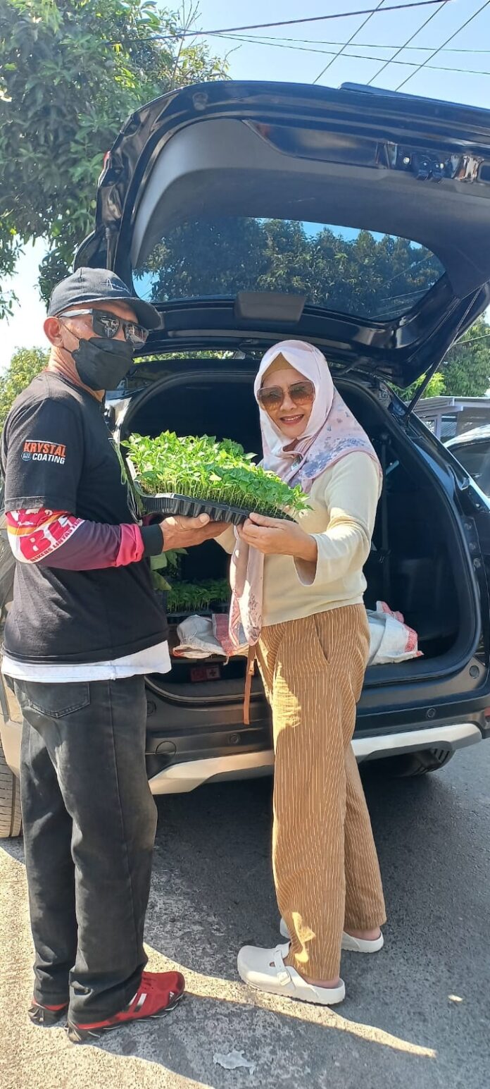 BIBIT CABAI - Anggota DPRD Kota Mataram dari Dapil Mataram, Hj. Baiq Zuhar Parhi membagikan bibit cabai kepada masyarakat di Kecamatan Mataram. (Suara NTB/ist) Kendalikan Inflasi, Anggota DPRD Kota Mataram Bagikan Bibit Cabai