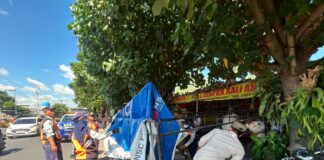 HKTI NTB: Peluang Karier di Sektor Pertanian Masih Terbuka Lebar untuk Generasi Muda HKTI NTB: Peluang Karier di Sektor Pertanian Masih Terbuka Lebar untuk Generasi Muda