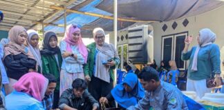 Rumput Laut Bisa Disulap Jadi Pupuk Organik Cair Rumput Laut Bisa Disulap Jadi Pupuk Organik Cair