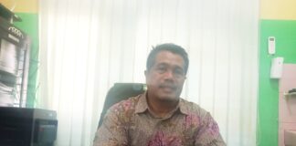 Luas Hutan Mangrove di Sumbawa Baru Terealisasi 2.341 Hektar Luas Hutan Mangrove di Sumbawa Baru Terealisasi 2.341 Hektar