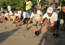 Dari Bandara ke Laut, BIZAM Perkuat Wisata Bahari Lombok Utara Dari Bandara ke Laut, BIZAM Perkuat Wisata Bahari Lombok Utara