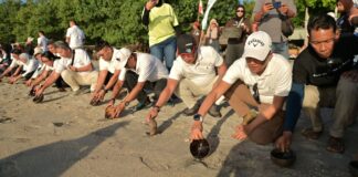 Dari Bandara ke Laut, BIZAM Perkuat Wisata Bahari Lombok Utara Dari Bandara ke Laut, BIZAM Perkuat Wisata Bahari Lombok Utara
