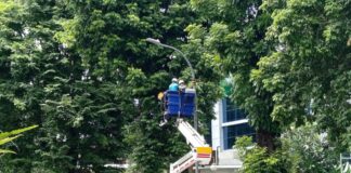Efisiensi Anggaran Tunda Penambahan PJU Tenaga Surya Efisiensi Anggaran Tunda Penambahan PJU Tenaga Surya