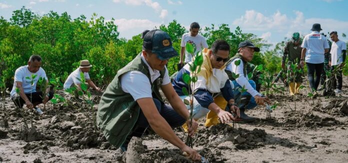 TANAM - Penanaman mangrove dilakukan secara berkala oleh ITDC di kawasan The Mandalika di area-area kritis. (Suara NTB/ist) ITDC Gandeng IPB Susun FS Pelestarian Mangrove di Kawasan Mandalika
