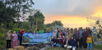 Profesor Turun Gunung, Ikhtiar Mengembalikan Kejayaan Kopi Sembalun