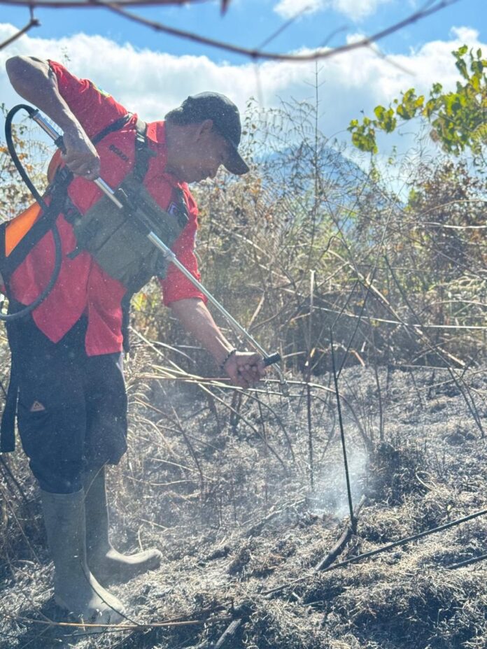 PEMADAMAN - Tim pemadam kebakaran melakukan pemadaman api kawasan Hutan Tanam Nasional Gunung Rinjani (TNGR) pada akhir pekan kemarin. Luas kawasan yang terbakar mencapai lebih dari 30 hektare. (Suara NTB/ist) Lahan TNGR yang Terbakar Mencapai 30 Hektare
