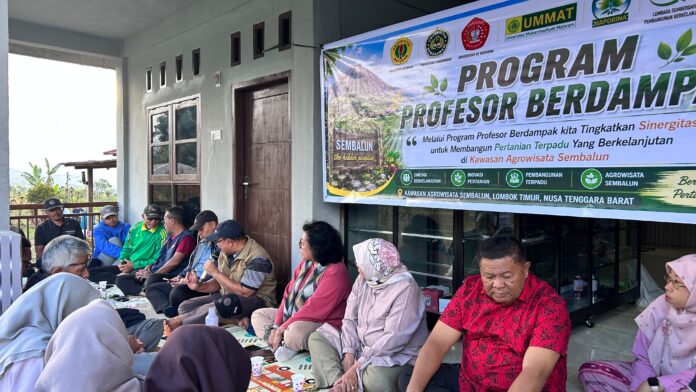 Profesor Turun Gunung, Ikhtiar Mengembalikan Kejayaan Kopi Sembalun