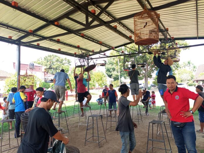 (EKBIS NTB/sib) BERNILAI FANTASTIS - Beberapa penggemar burung di Mataram usai mengikuti lomba pada Sabtu (8/8) pekan kemarin di Taman Budaya NTB. Harga Burung Murai Batu bernilai fantastis apabila menjuarai lomba. Pencinta Burung di Mataram Bisa Raup Untung Puluhan Juta