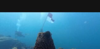 Simpan Terumbu Karang Indah, Ampenan Miliki Destinasi Wisata Bawah Laut Simpan Terumbu Karang Indah, Ampenan Miliki Destinasi Wisata Bawah Laut
