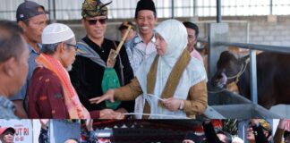 Puncak HUT Me-76 Dihadiri Wabup Lobar, Pemdes Jagaraga Luncurkan Penggemukan Sapi Program Desa Berdaya Puncak HUT Me-76 Dihadiri Wabup Lobar, Pemdes Jagaraga Luncurkan Penggemukan Sapi Program Desa Berdaya
