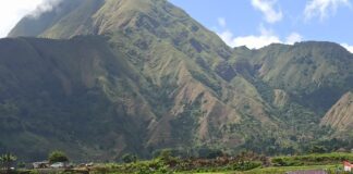 Musim “High Season”, Sembalun Diserbu Wisatawan Domestik dan Mancanegara Musim “High Season”, Sembalun Diserbu Wisatawan Domestik dan Mancanegara