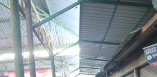 Perayaan Maulid, Harga Daging Ayam Mencapai Rp47 Rib Per Kilogram Perayaan MaulidHarga Daging Ayam Mencapai Rp47 Rib Per Kilogram