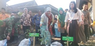 Kendalikan Inflasi dan Tanamkan Karakter, Wabup Lobar Mulai Gerakan Menanam Cabai Serentak di Sekolah Kendalikan Inflasi dan Tanamkan Karakter, Wabup Lobar Mulai Gerakan Menanam Cabai Serentak di Sekolah