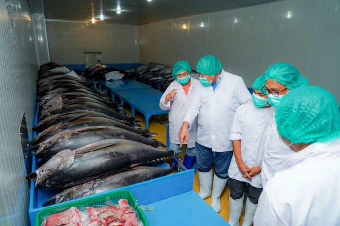 IMG-20260924-WA0078 355 Ton Tuna NTB Sudah Diekspor ke Amerika Serikat