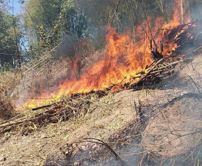 Satu Hektare Lahan Perbukitan Monto Kuripan Lombok Barat Terbakar ﻿