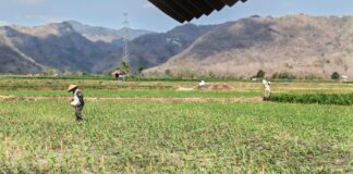 Potensi Ekonomi Besar, Bima Belum Punya Mesin Ekonomi Baru Potensi Ekonomi Besar, Bima Belum Punya Mesin Ekonomi Baru