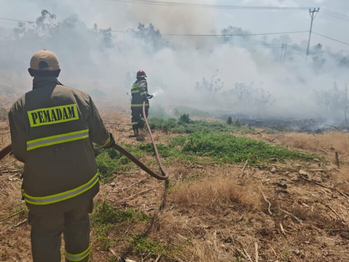 Belasan Hektare Lahan Terbakar di Sumbawa
