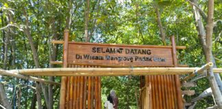 PLN UIP Nusra Renovasi Jalur Trekking Ekowisata Mangrove Desa Padak Guar, Dorong Potensi Wisata di Sekitar Pembangkit