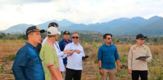 Hilirisasi Ayam Masih Tahap Studi Kelayakan Hilirisasi Ayam Masih Tahap Studi Kelayakan