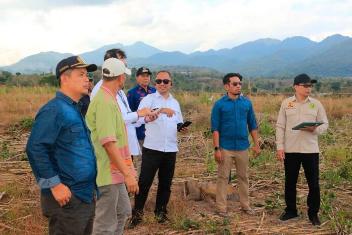 Hilirisasi Ayam Masih Tahap Studi Kelayakan