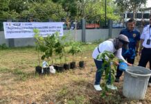 DAMRI Mataram Maknai Peringatan Sumpah Pemuda dengan Gerakan Cinta Lingkungan