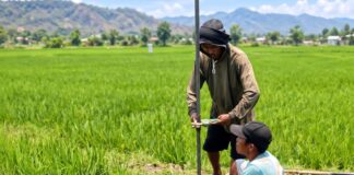 Antisipasi Dampak El-Nino Antisipasi Dampak El-Nino